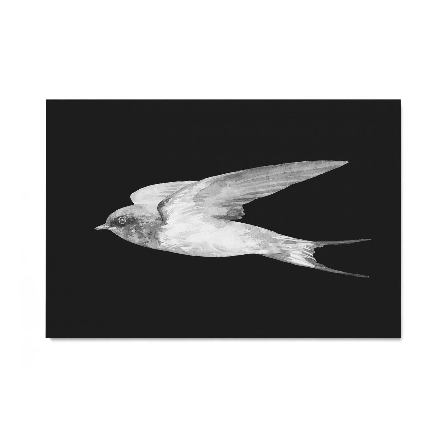 Birds In Flight