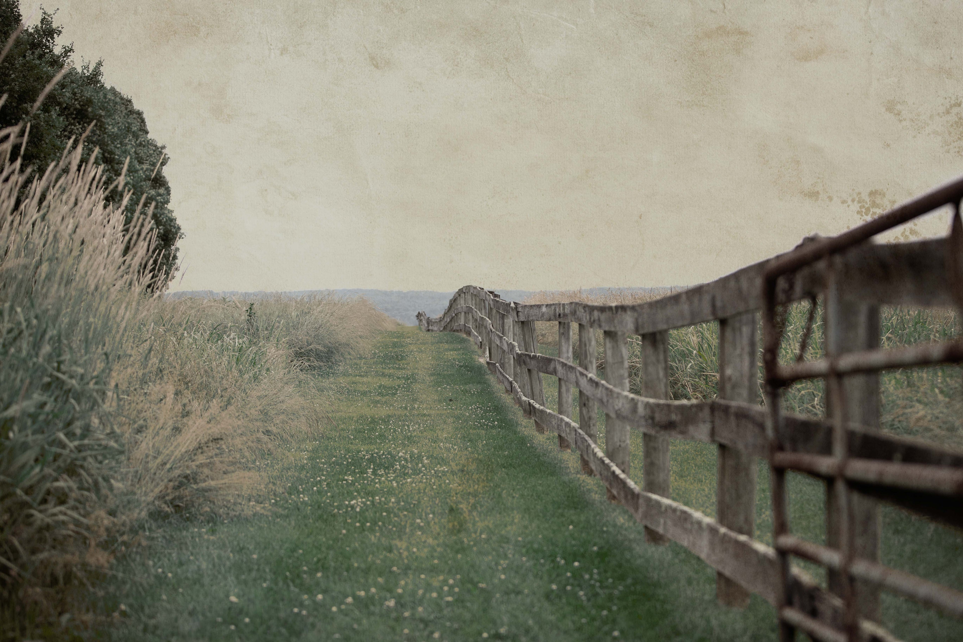 Fenceline x Brandon Luther