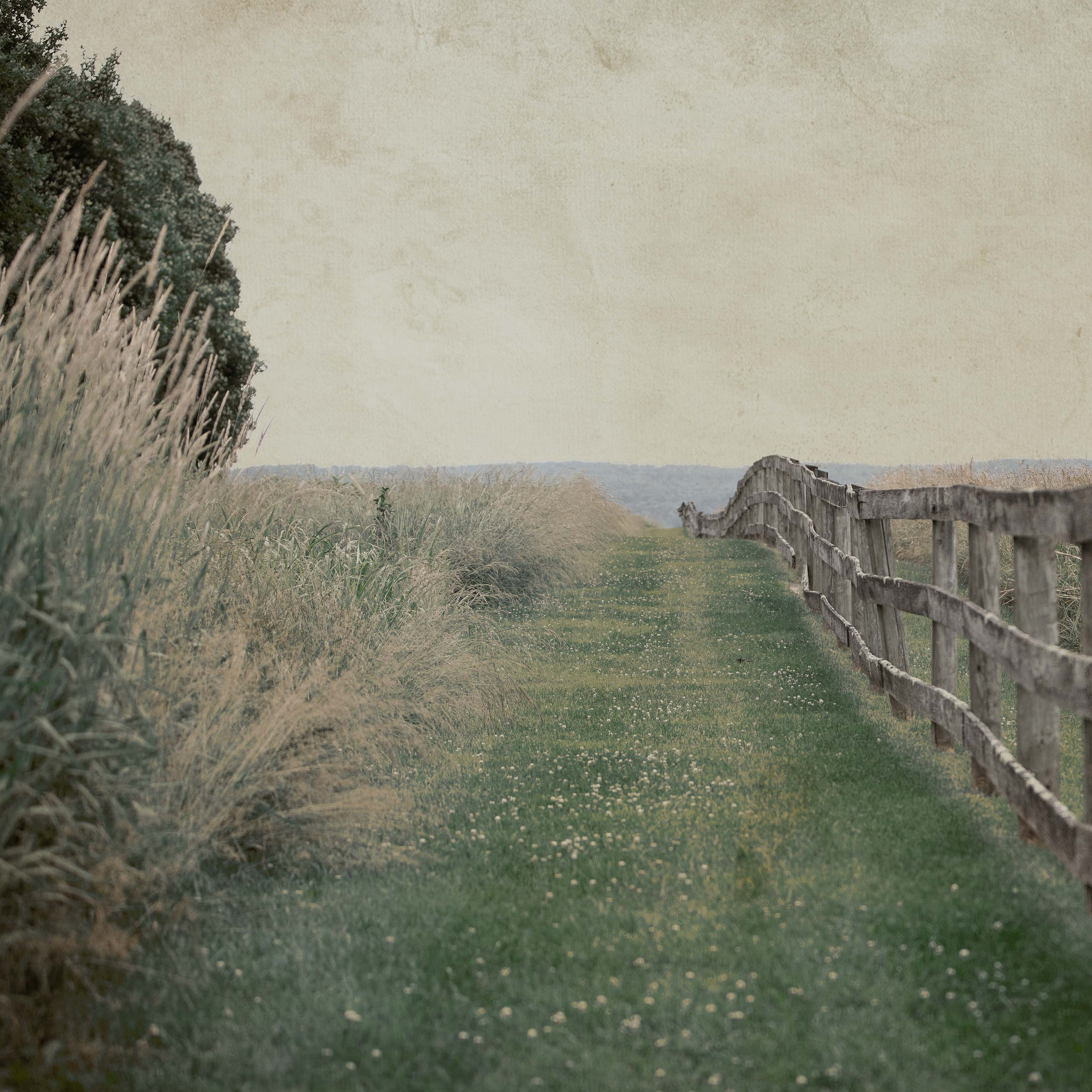Fenceline x Brandon Luther